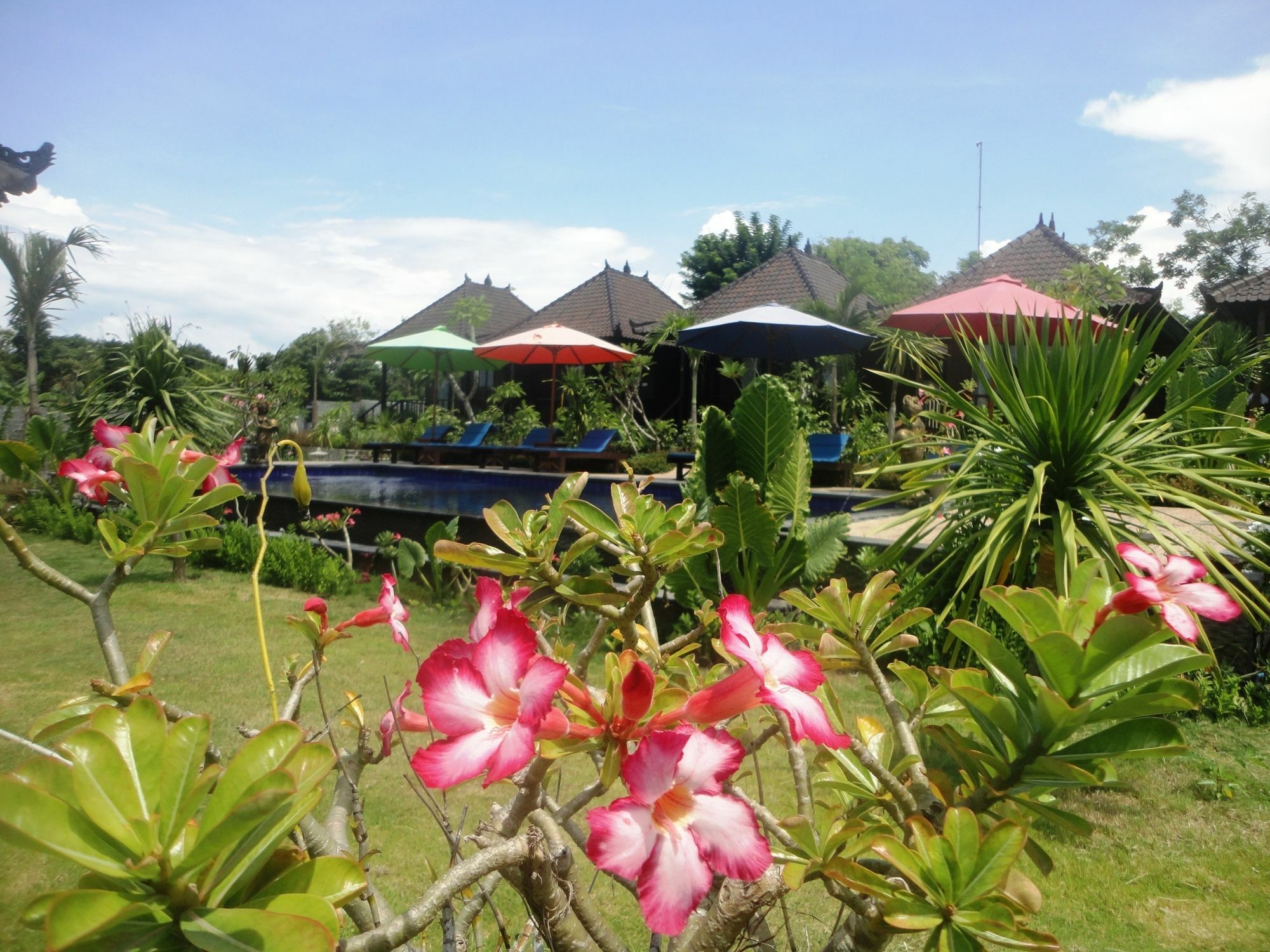 Dream Beach Berlian Lembongan Extérieur photo